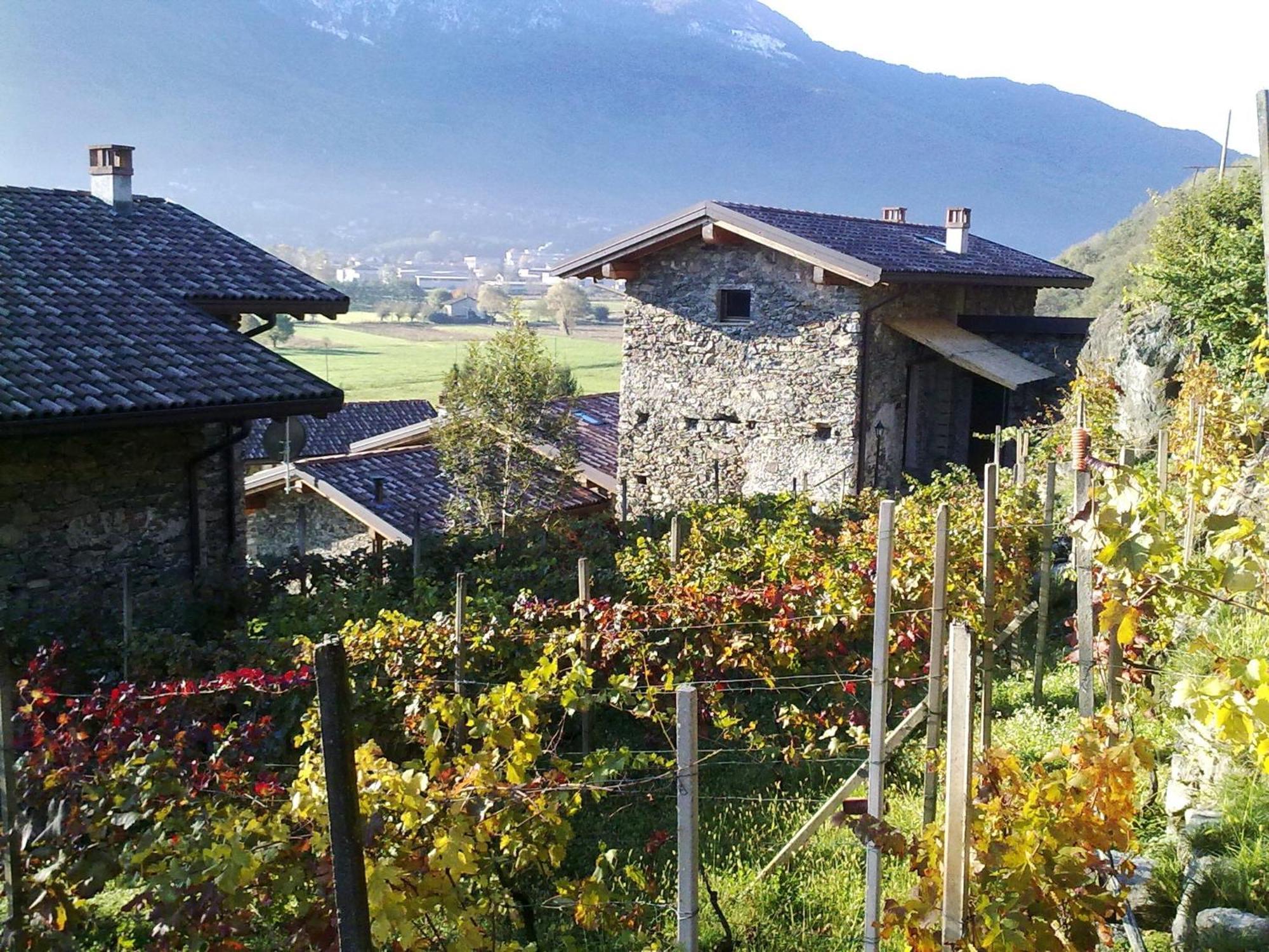 Alloggio per agriturismo Borgo Erbiola