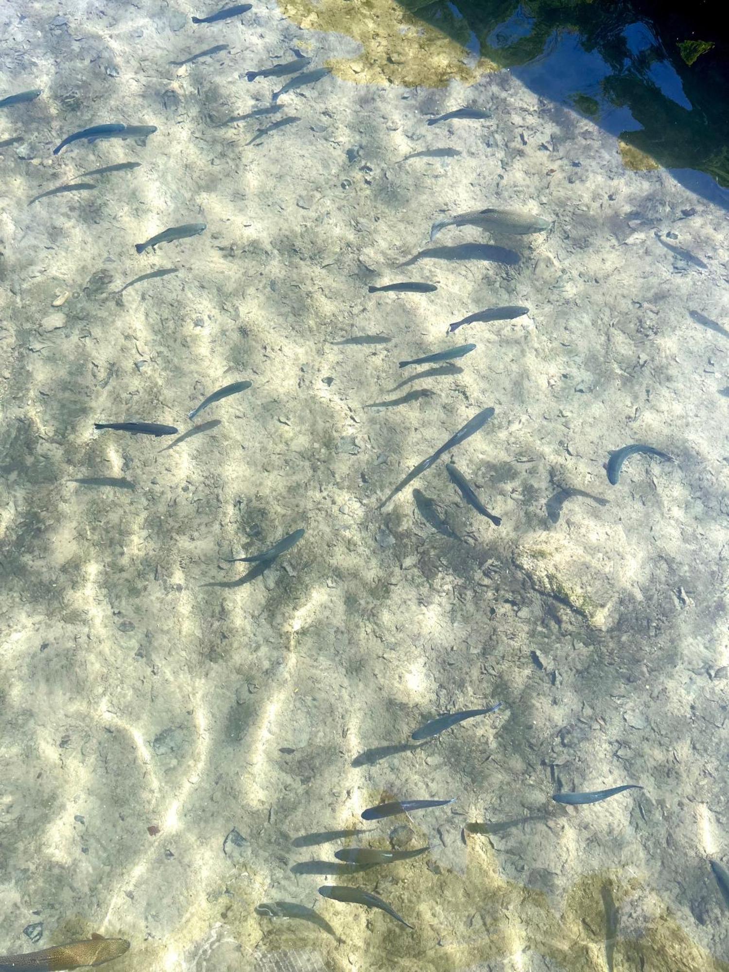 La Vecchia Chioderia Bauernhof