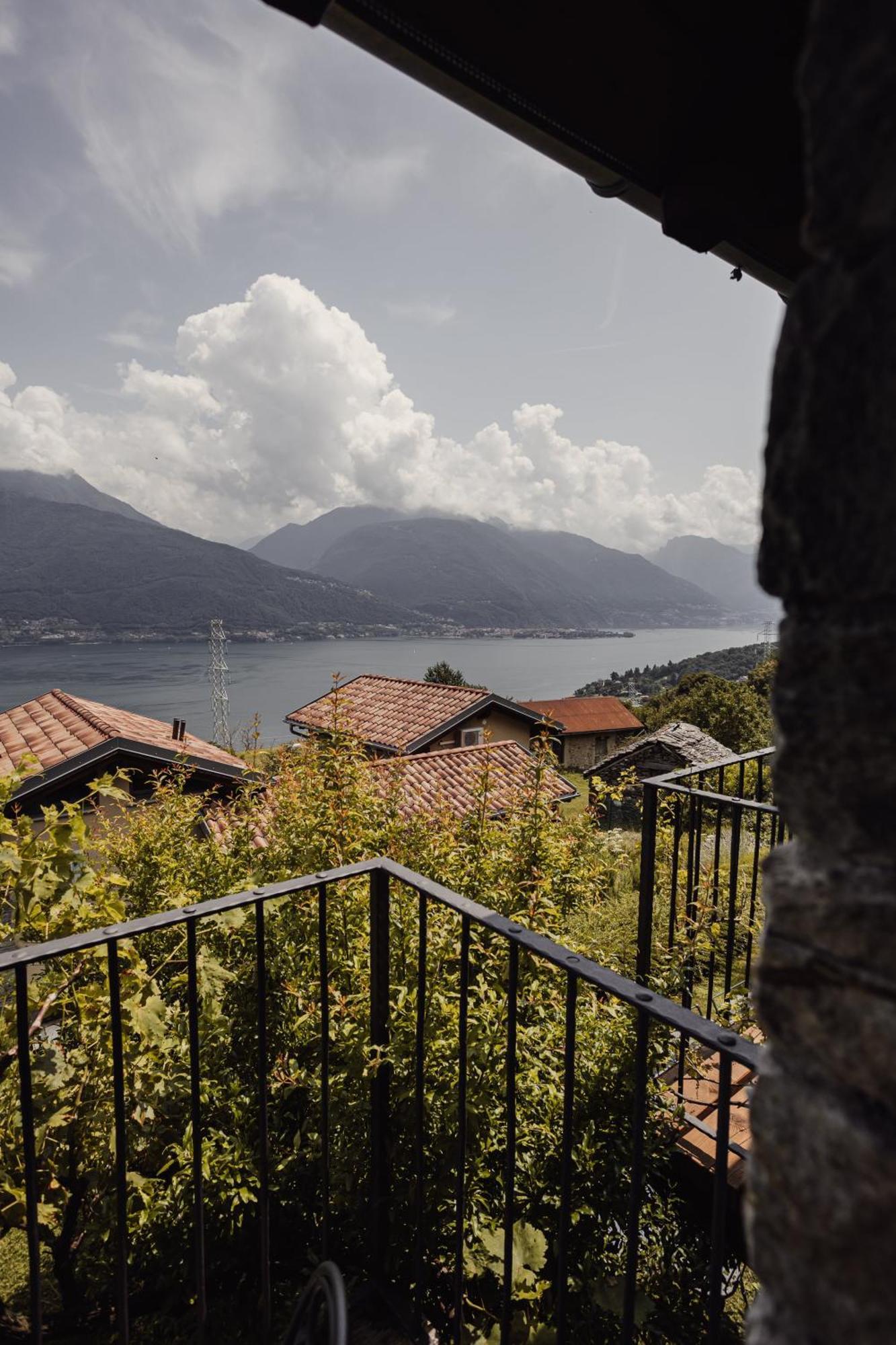 Treterre *