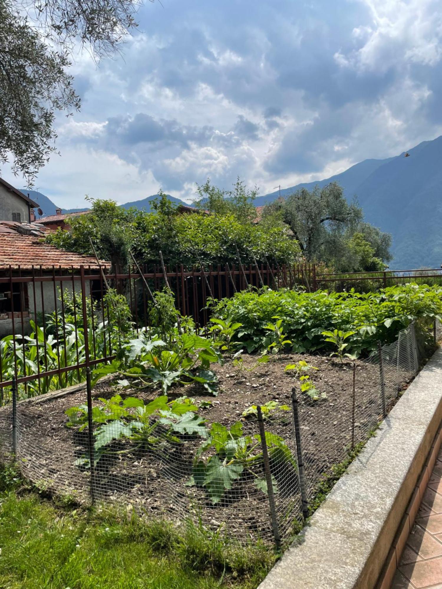 Casa vacanze Family House *
