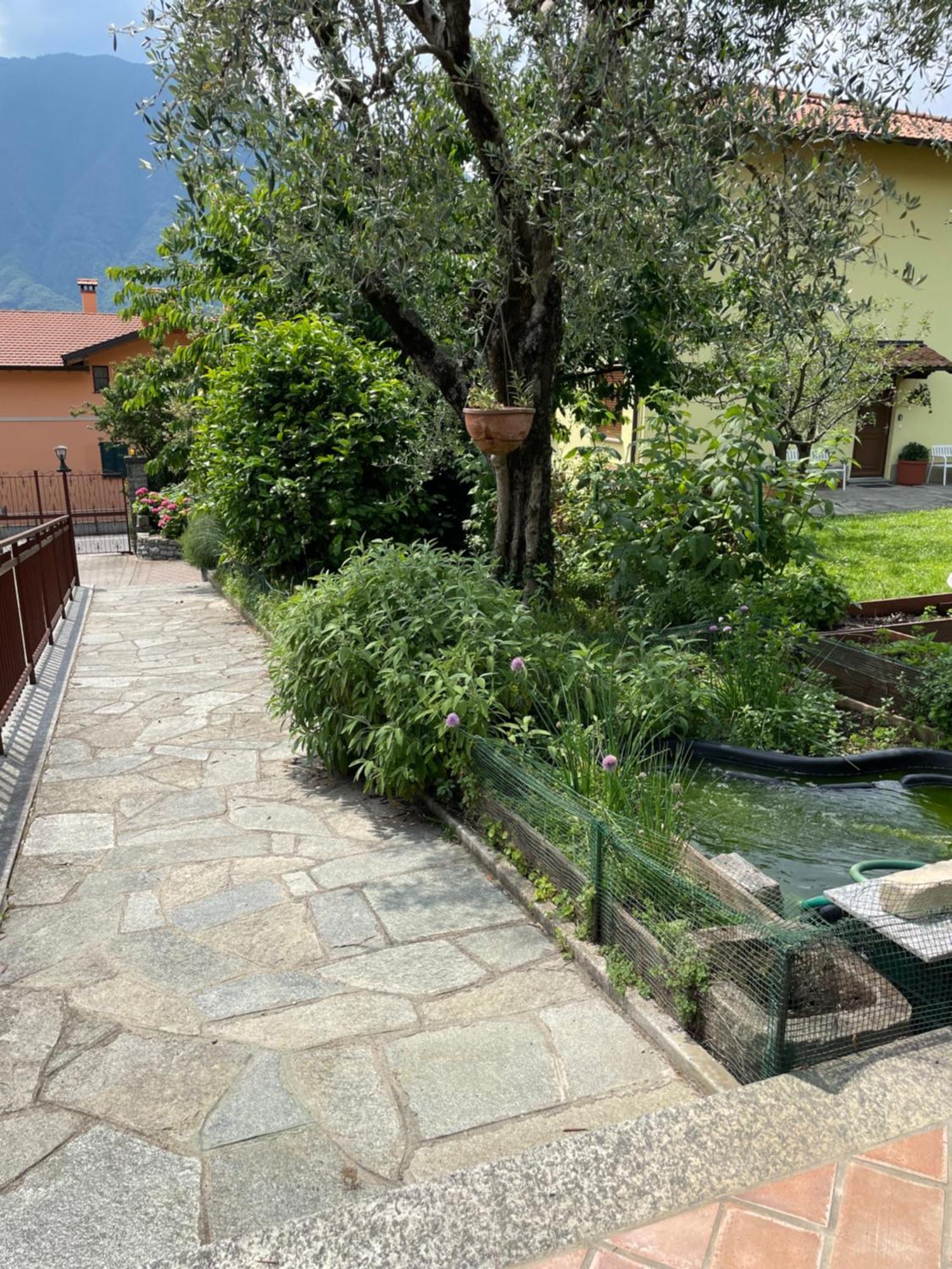 Family House Casa vacanze *