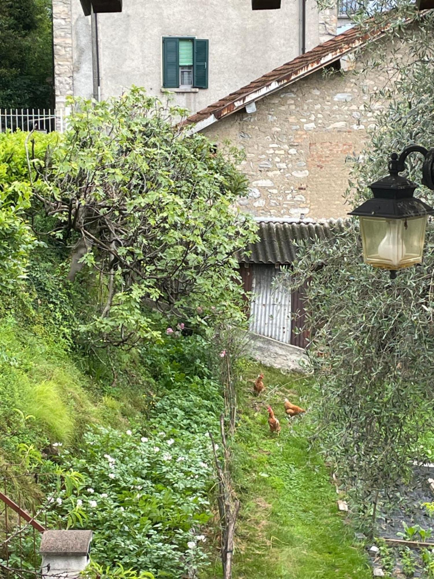 Family House Casa vacanze