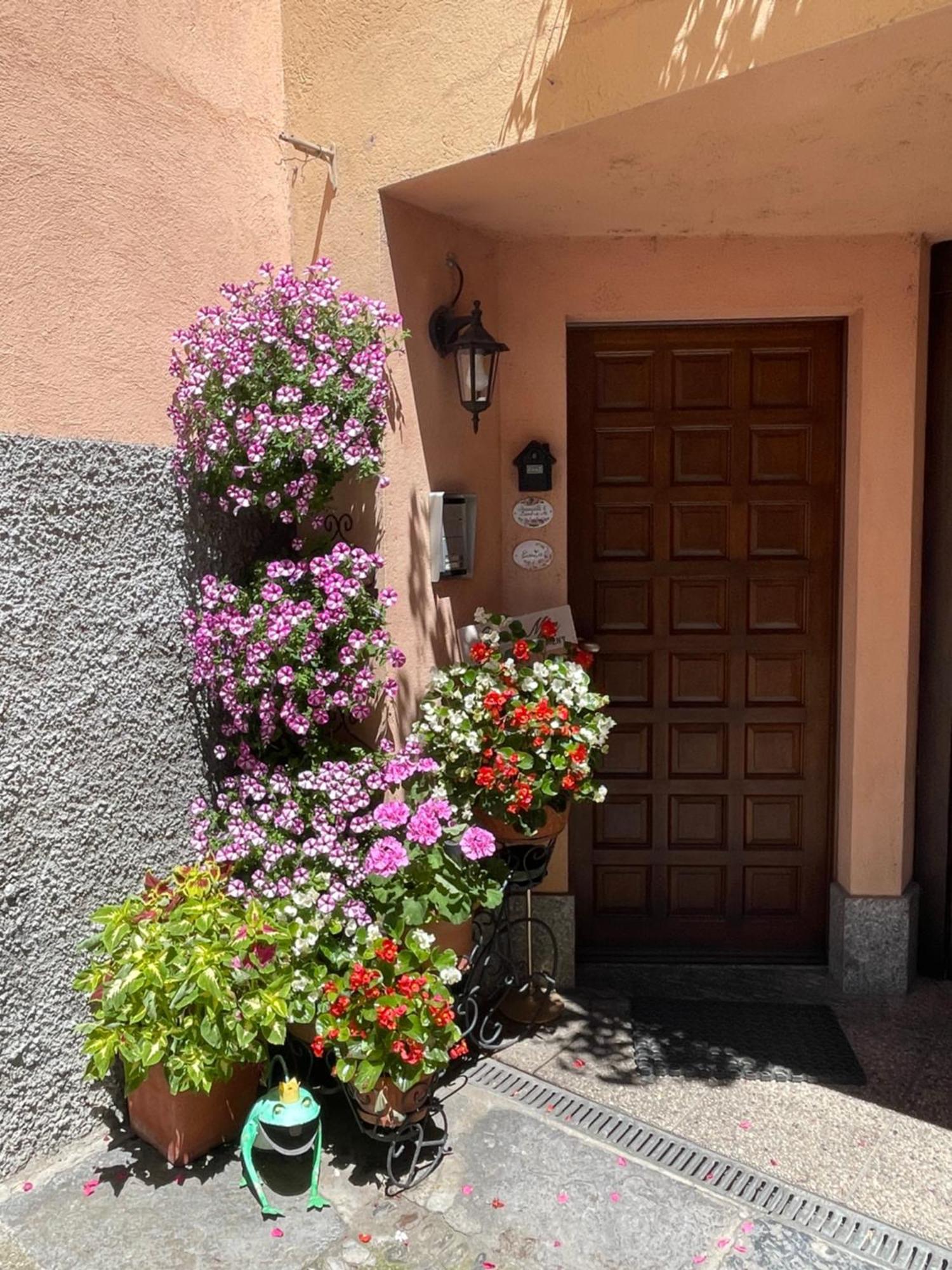 Apartment Casa Mia *