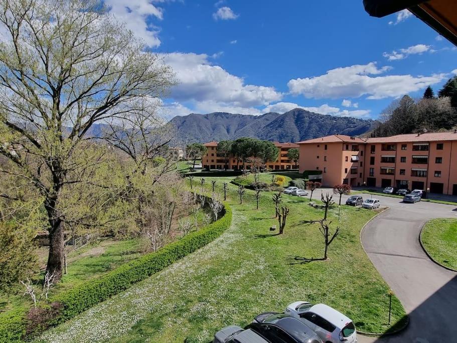Oasis Apartment