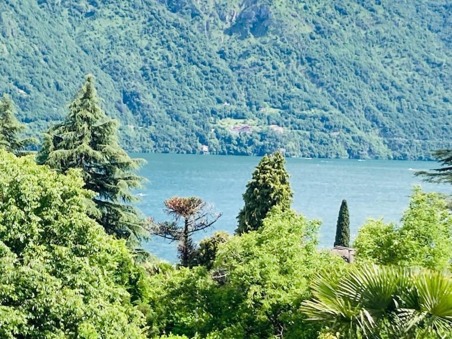 Holiday home Casa Del Pescatore E Mary! Mezzegra