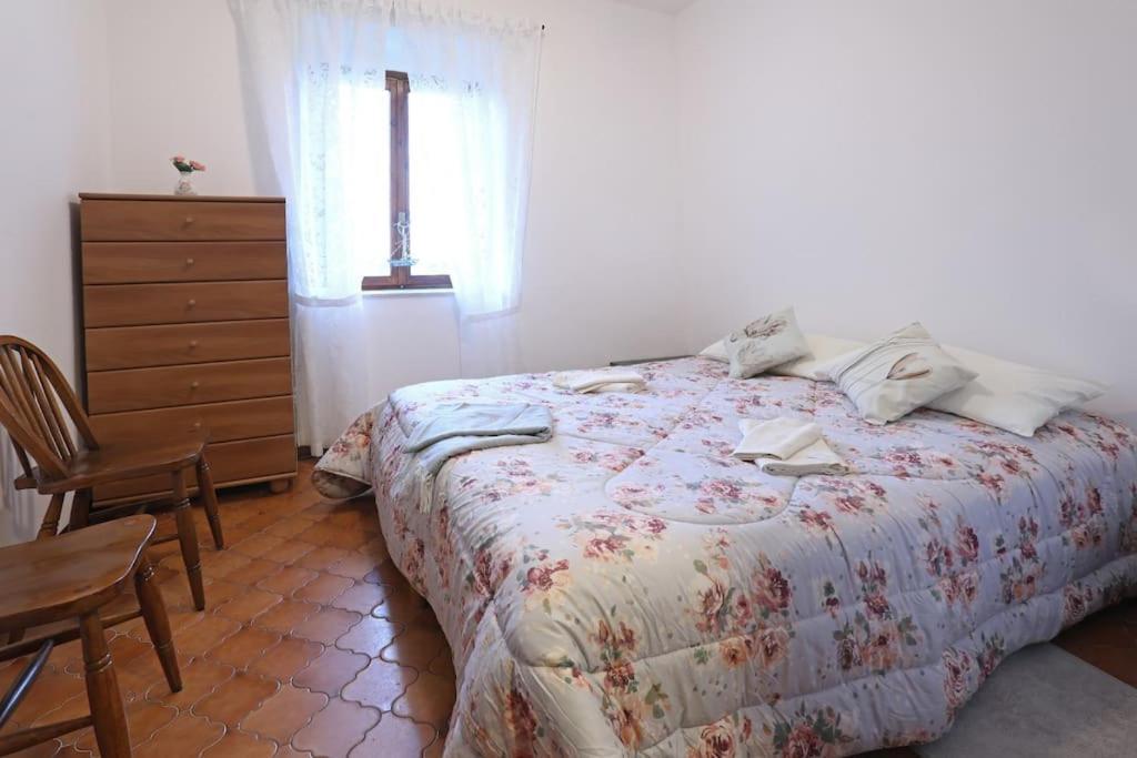 Holiday home Casa Del Pescatore E Mary! Mezzegra