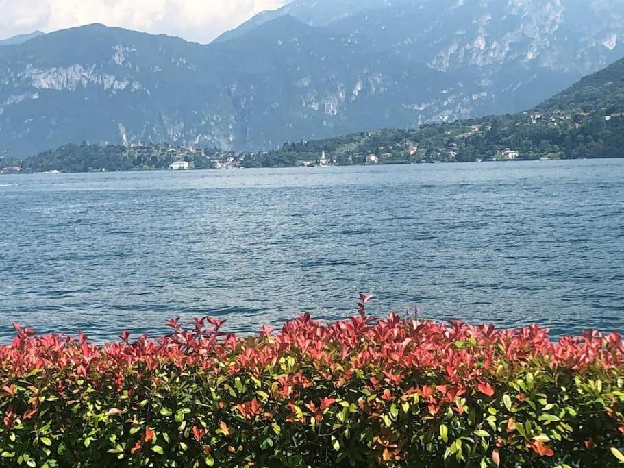 Vener Appartament - A Due Passi Dal Apartment Ossuccio