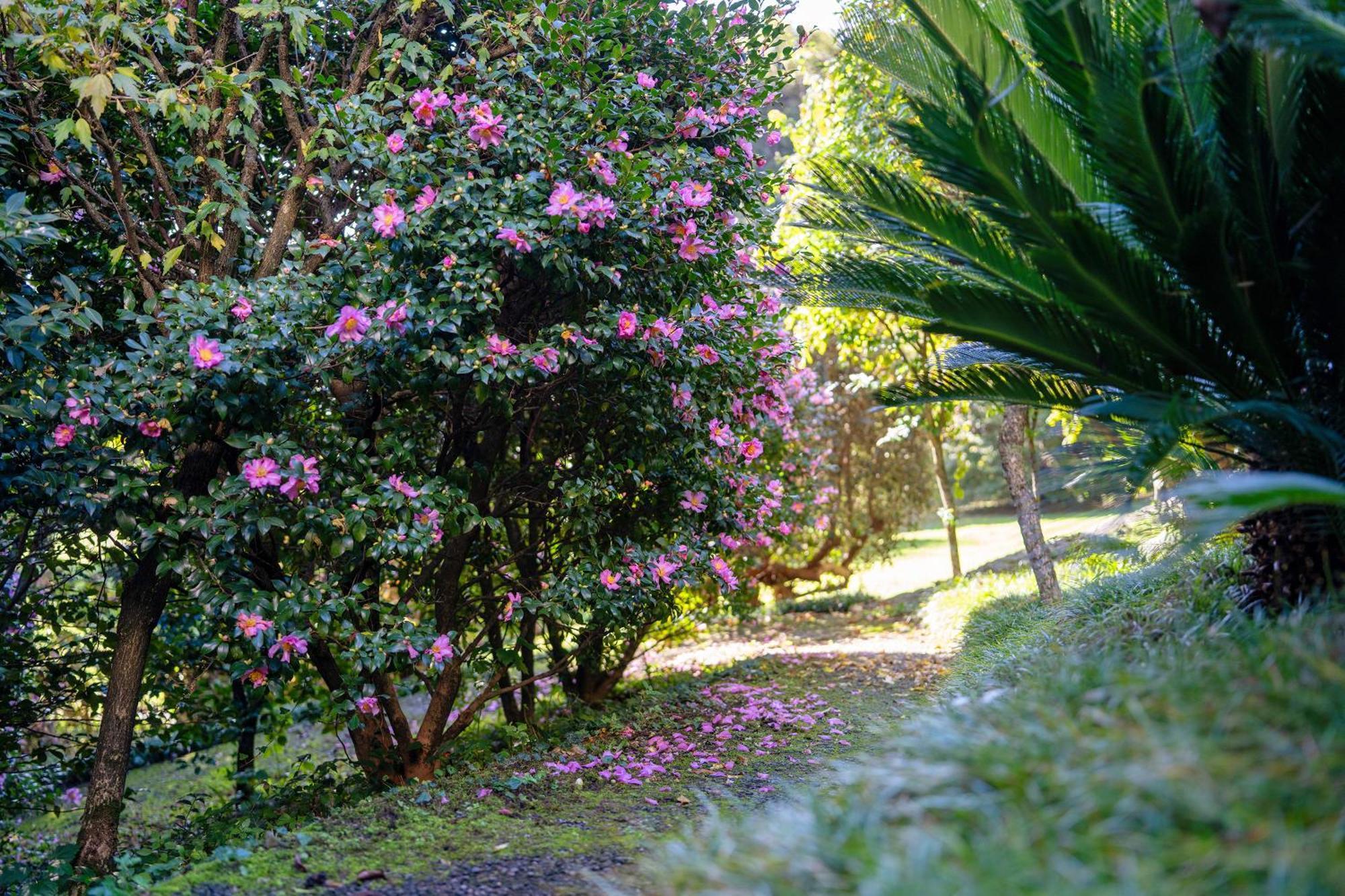 Flairhouse Parco Holiday home *