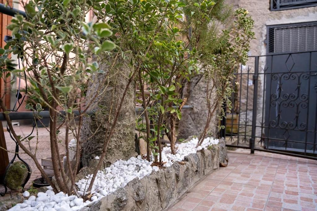 A 8 Min Per Centro Rustico Vista Sul Apartment Blevio
