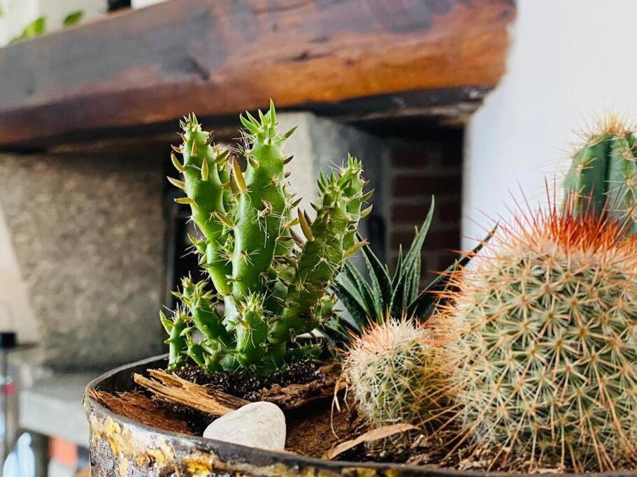 Casa Privata Con Splendida Vista 