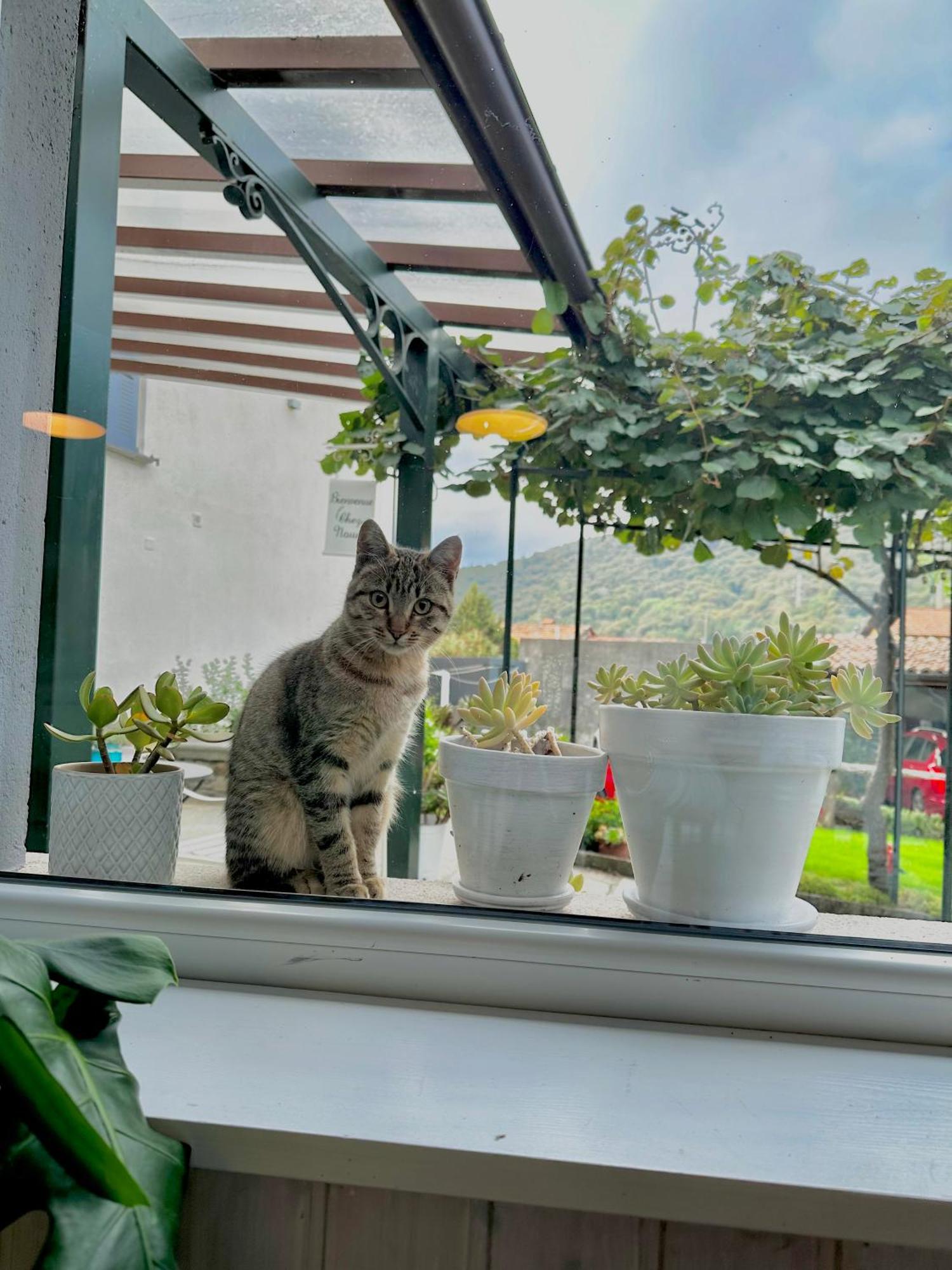 La Dolce Casa Di Bed & Breakfast Cremia