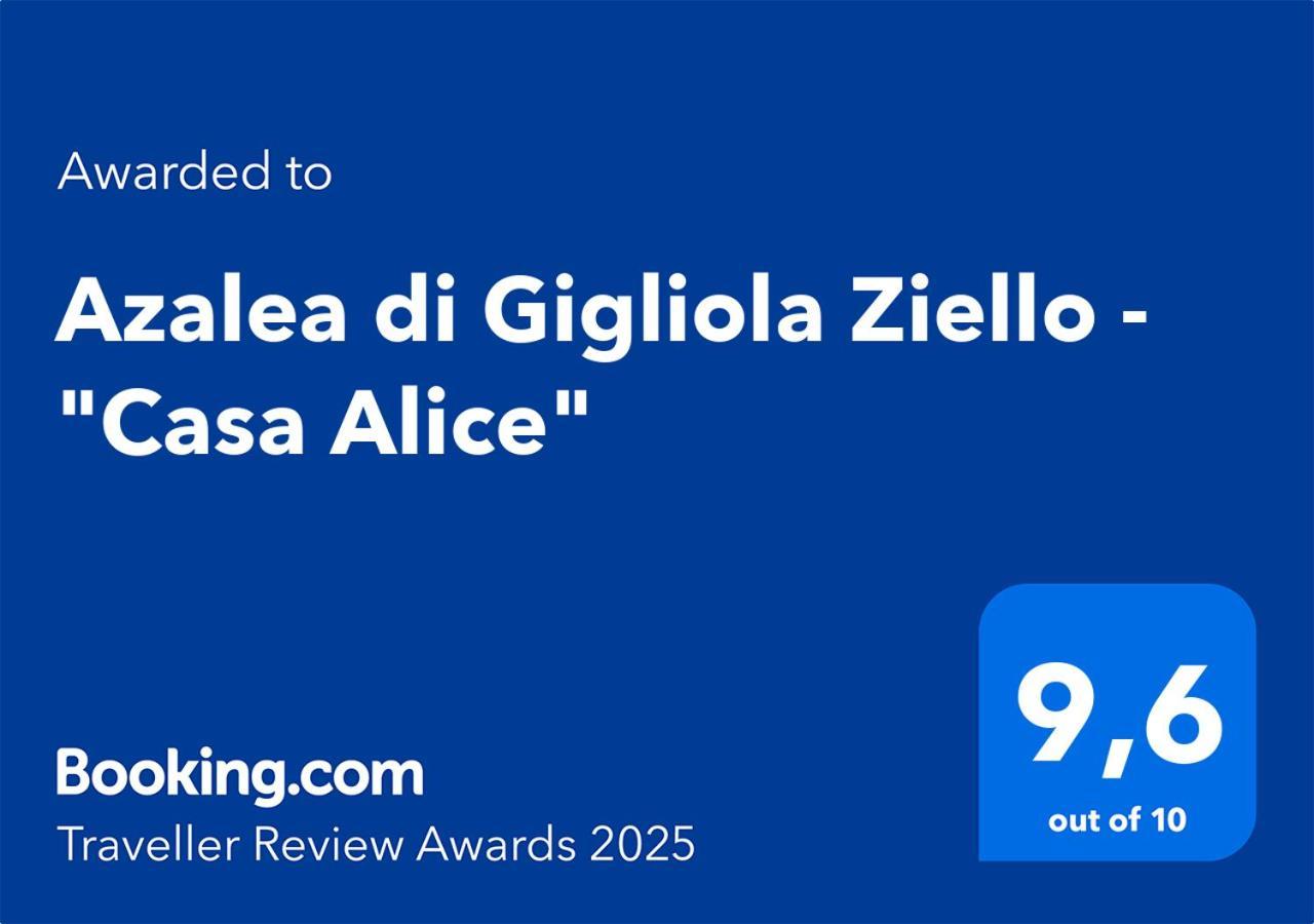 Azalea Di Gigliola Ziello - 