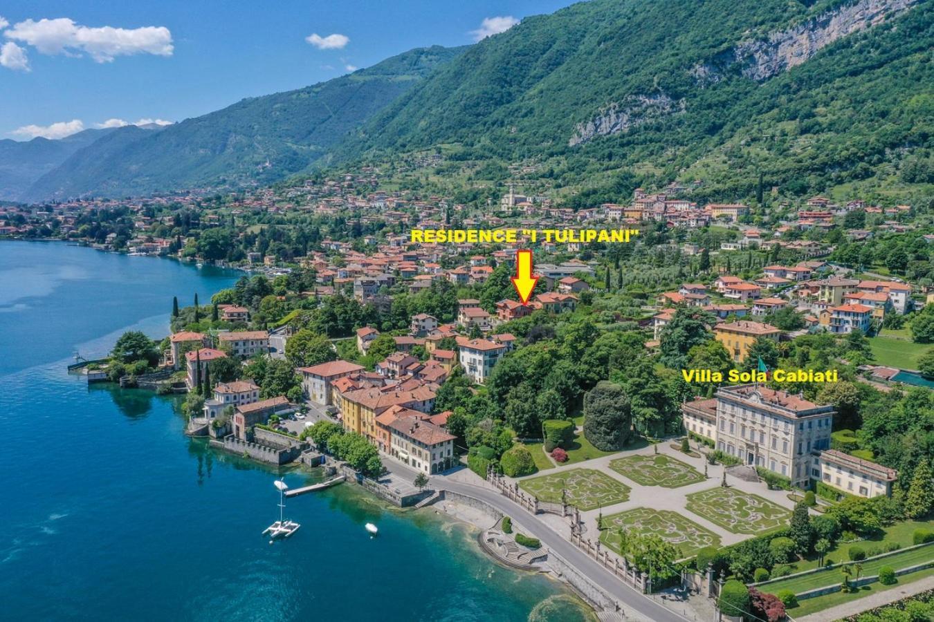Tulipani 17 - Tremezzina
