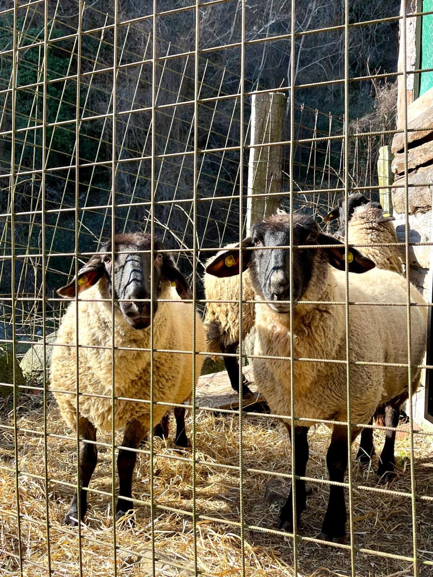 Bauernhof La Vecchia Chioderia *