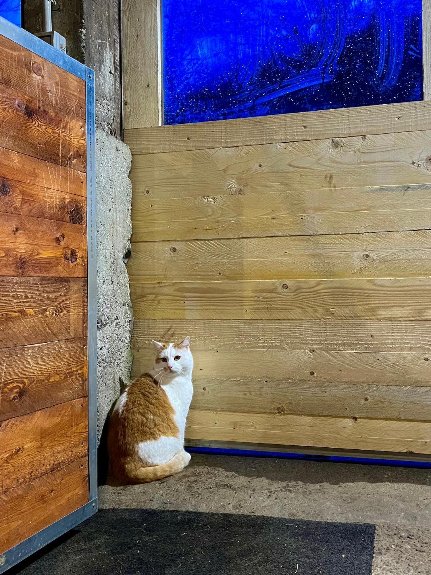 La Vecchia Chioderia Bauernhof *