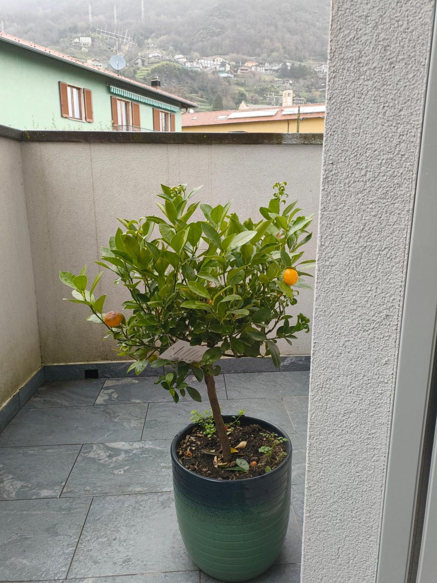 Apartment Relaxing Break Lario