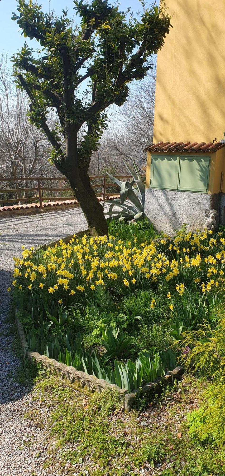 Casa Cascina Ronco- Natura E Relax Vicino Di