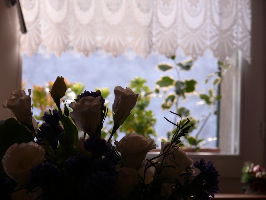 Leon D'oro Bed & Breakfast 2*
