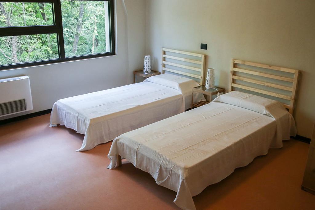 Oasi