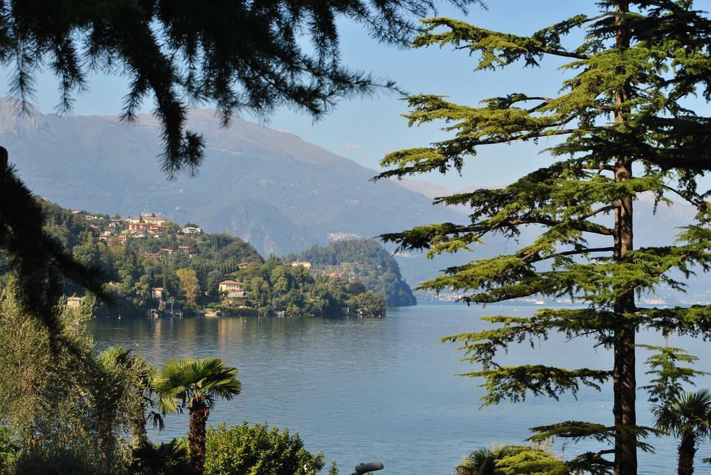 Appartamento Ortensia Oliveto Lario