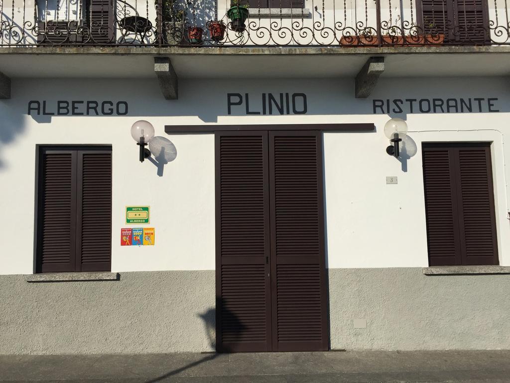 Plinio 2*