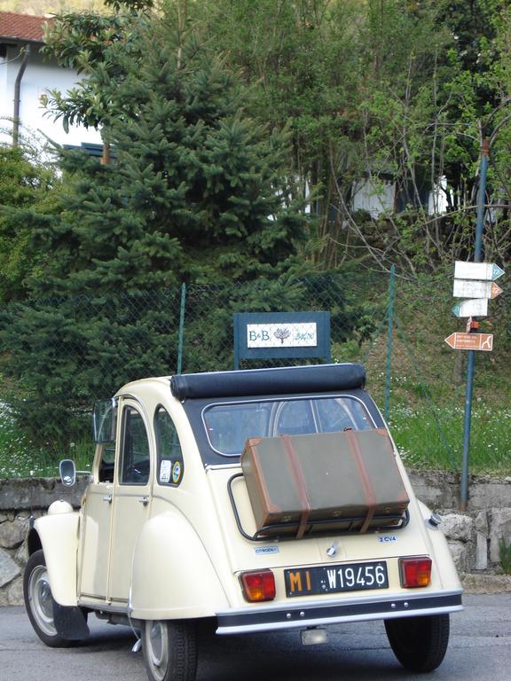Il Bogno
