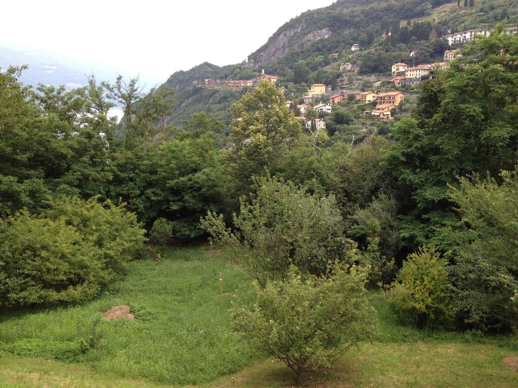 Villa Caterina Perledo