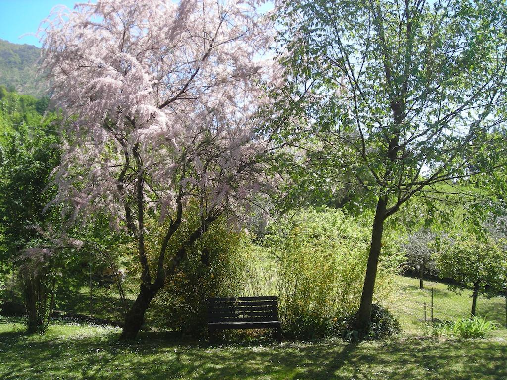 Il Bogno Lierna