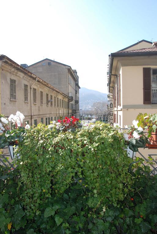 La Canarina