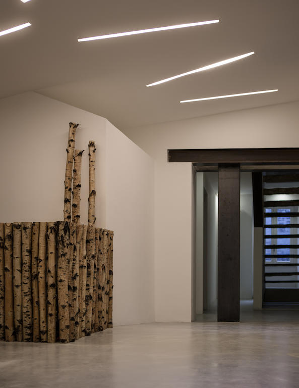 Guest house Fontana