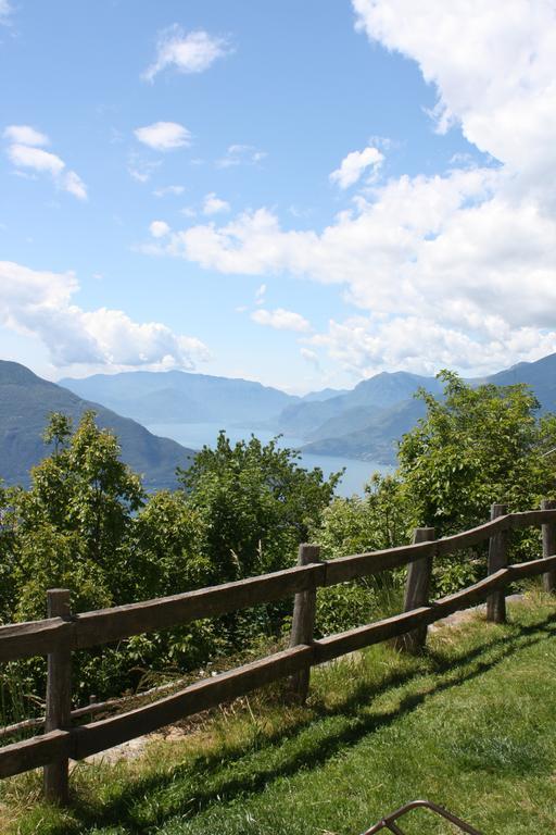 Apartment Rifugio Dalco *
