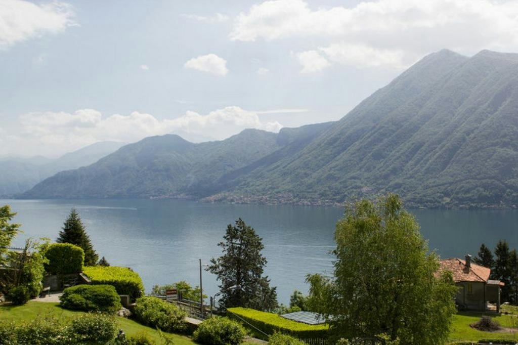 Concetta Argegno