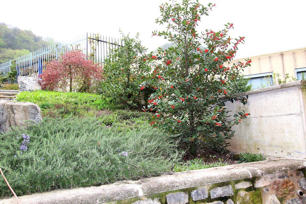 Pescalina Holiday home *