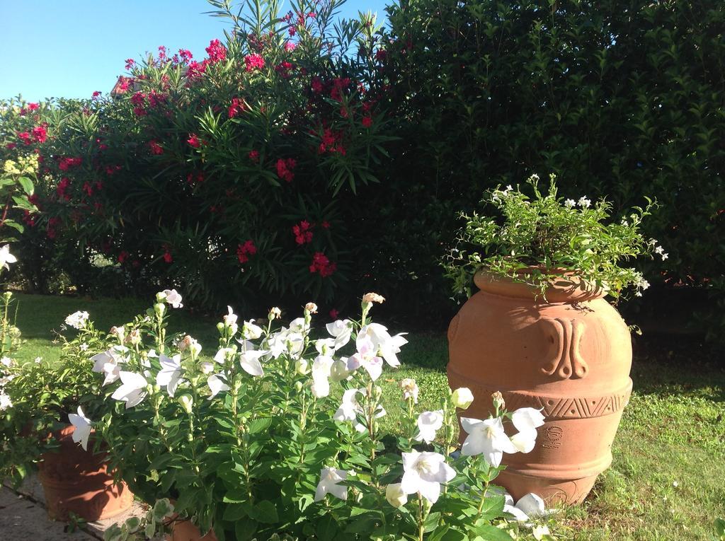Bed & Breakfast Al Chiare Oggiono