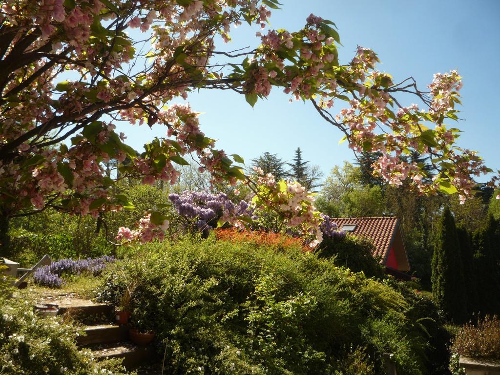 Bed & Breakfast Al Chiare Oggiono