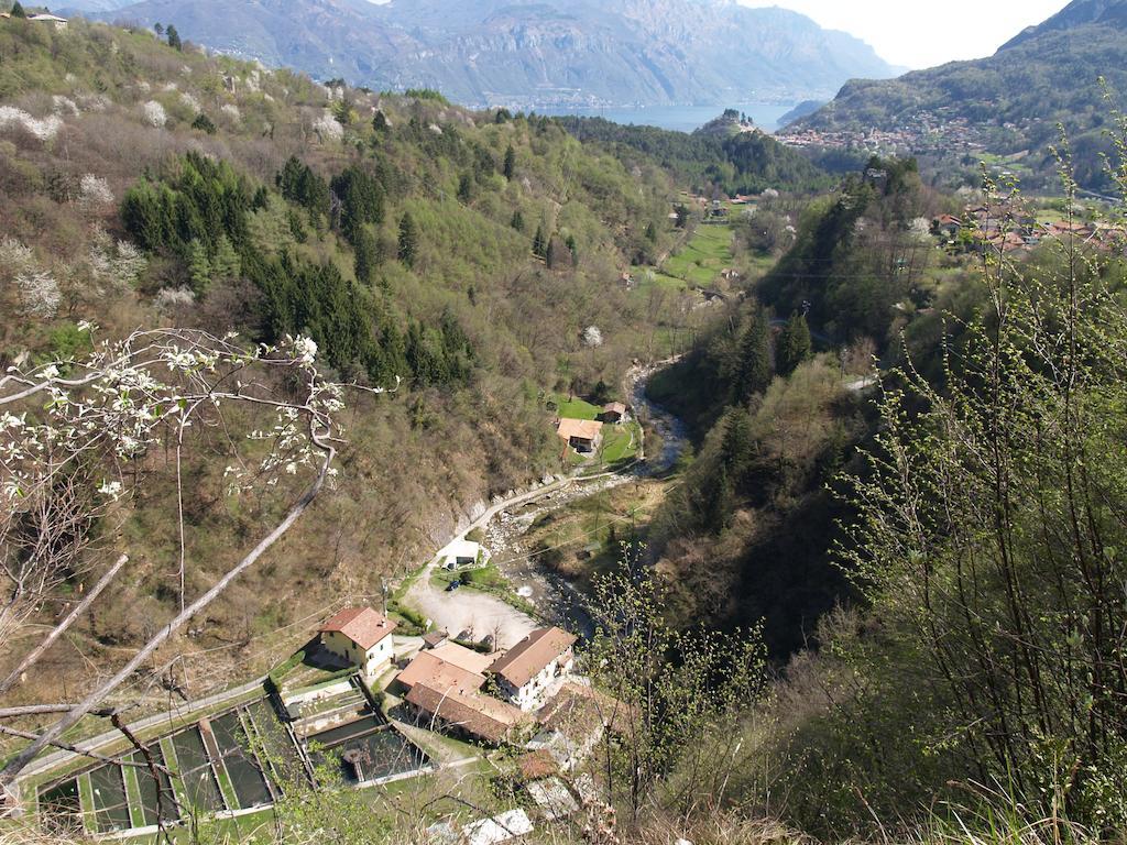 Bauernhof La Vecchia Chioderia *