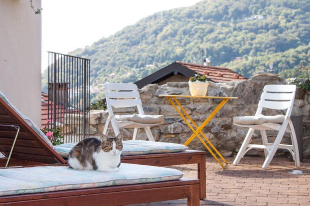 Vista Ferienhaus *