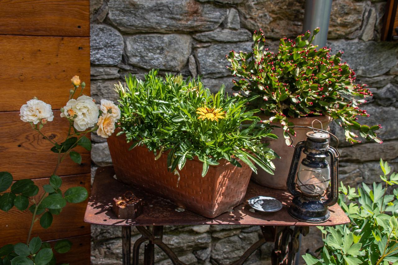 Farm stay Treterre *