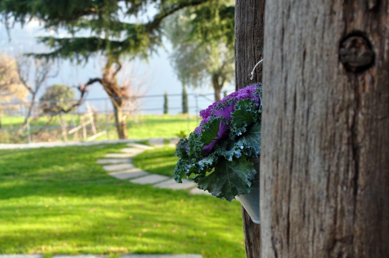 La Cassinella Bed & Breakfast Cernobbio