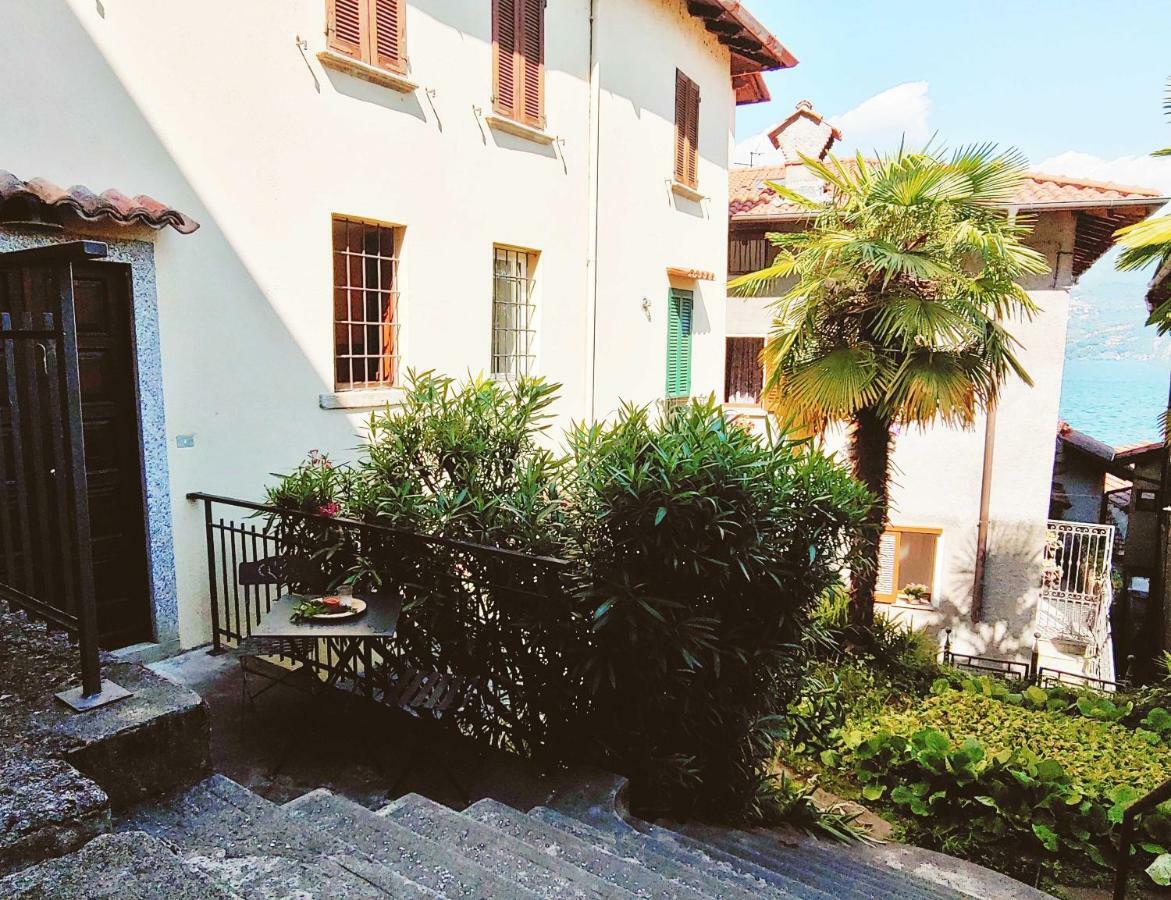 Antica Regina Charming