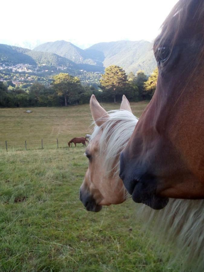 Farm stay Cascina Del Sole Asso