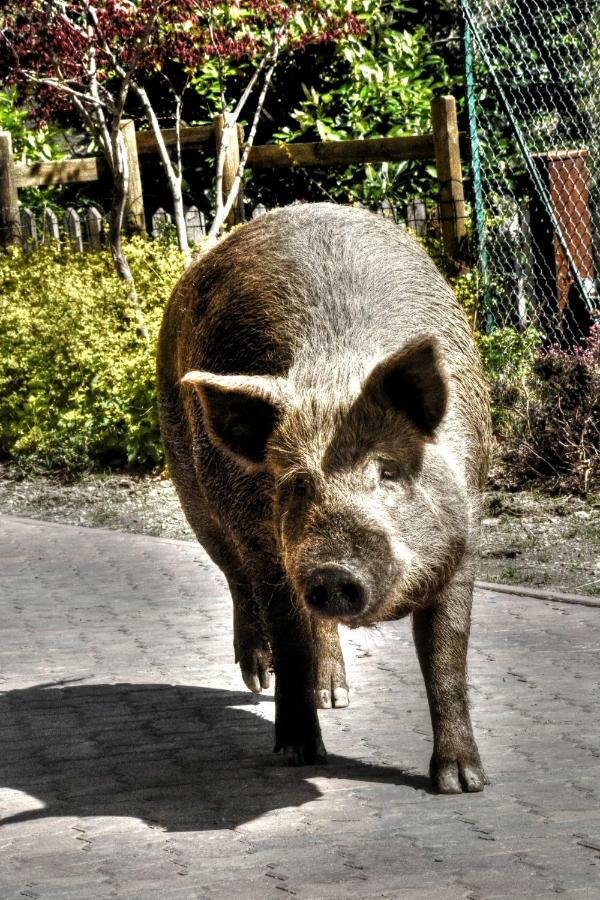 Farm stay Cascina Del Sole Asso