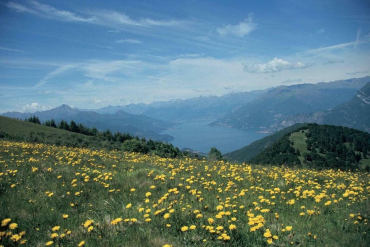 Ghisallo Appartamento
