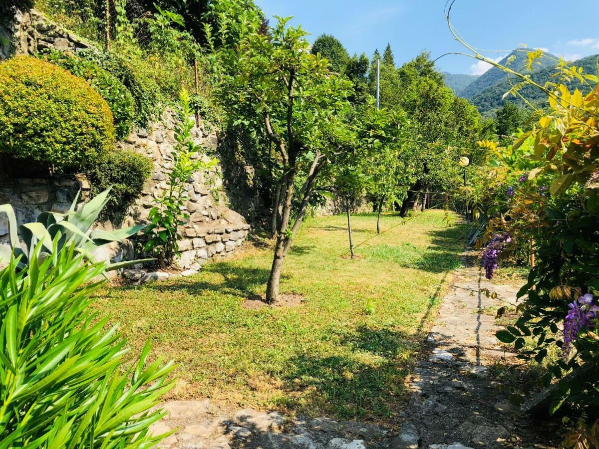 Eden Sul Lago Di Como