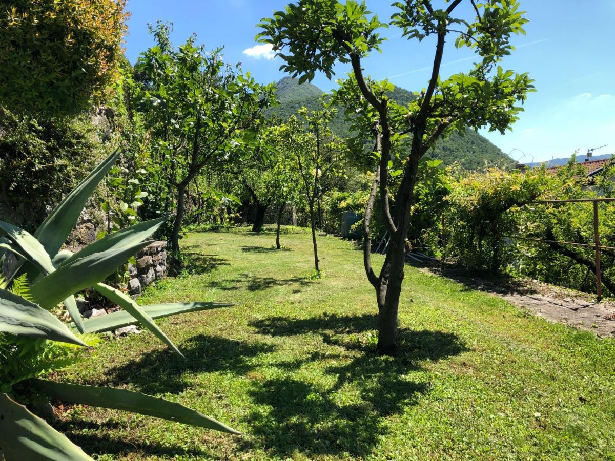 Eden Sul Lago Di Como Holiday home *