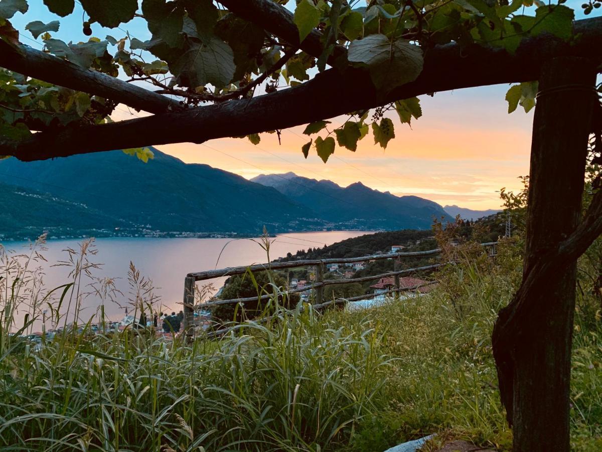 Treterre Farm stay *